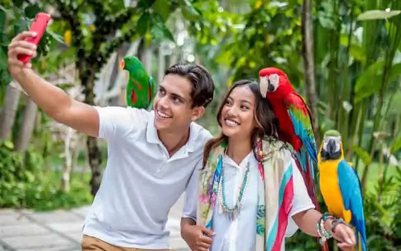 bali bird park